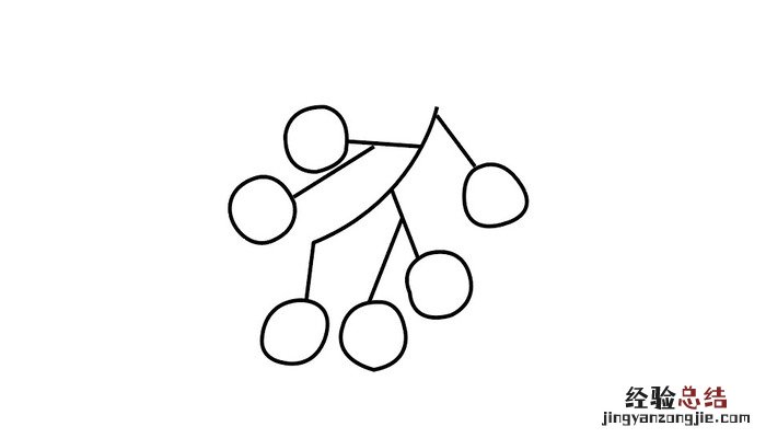 桂圆简笔画彩色 桂圆简笔画