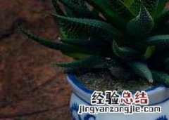 陈皮茶的功效与作用及做法用量 陈皮茶的功效与作用及做法