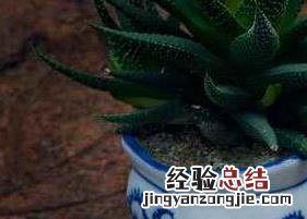 陈皮茶的功效与作用及做法用量 陈皮茶的功效与作用及做法