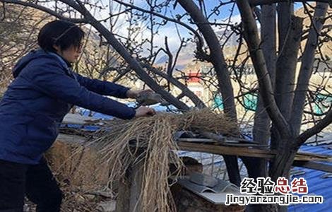 冬季养蜂正确的保温方法 冬季中蜂保温方法