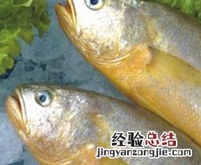 野生黄鱼的营养成分