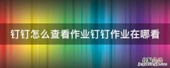 钉钉怎样查看作业完成情况 钉钉怎么查看作业钉钉作业在哪看