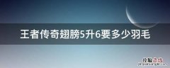 王者传奇翅膀5升6要多少羽毛 传奇翅膀5升6需要多少羽毛