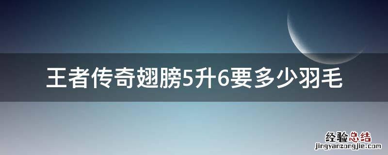 王者传奇翅膀5升6要多少羽毛 传奇翅膀5升6需要多少羽毛