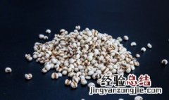 薏仁粥的功效和作用 薏仁粥