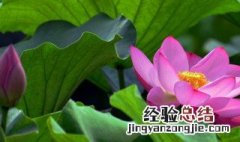六月份和七月 六月份七月份是什么季节