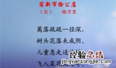 宿新市徐公店这是一首描写什么季节的诗 赶紧看看吧