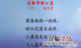 宿新市徐公店这是一首描写什么季节的诗 赶紧看看吧