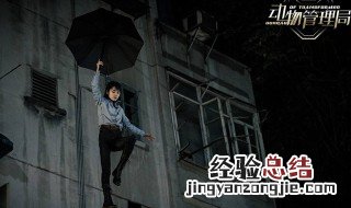 动物管理局2播出时间 动物管理局剧情简介