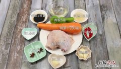 大鹅炖萝卜的做法窍门 大鹅炖萝卜的做法