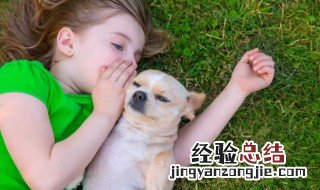 带王字旁的字女孩名字 带王字旁的字女孩名字叠字