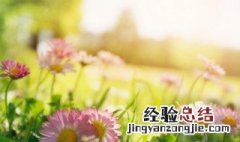 描写春天的名人名言 2年级 小学春天的名人名言