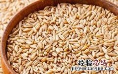 燕麦的功效与作用及营养价值 燕麦的功效与作用