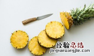 广东菠萝和海南菠萝的区别 广东菠萝和海南菠萝的区别图片
