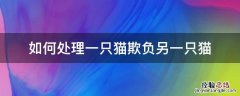 一只猫欺负另一只怎么办 如何处理一只猫欺负另一只猫