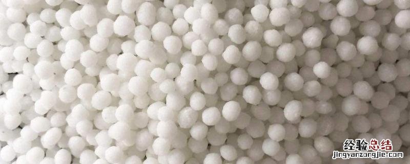 尿素稀释多少倍可以浇根，正在下雨能洒尿素吗