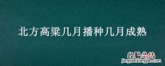 北方高粱几月播种几月成熟 北方高粱几月播种几月成熟玉米