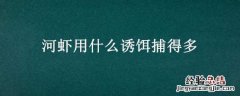 河虾用什么诱饵捕得多好 河虾用什么诱饵捕得多