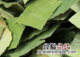 新鲜荷叶茶怎么制作 新鲜荷叶茶怎么制作视频