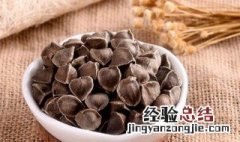 辣木籽的味道代表的含义 辣木籽的味道代表的含义是什么?