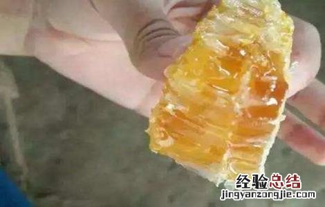 中蜂什么时候取蜜最佳 中蜂什么时候取蜜最佳呢