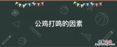 影响公鸡打鸣的因素 公鸡打鸣的因素