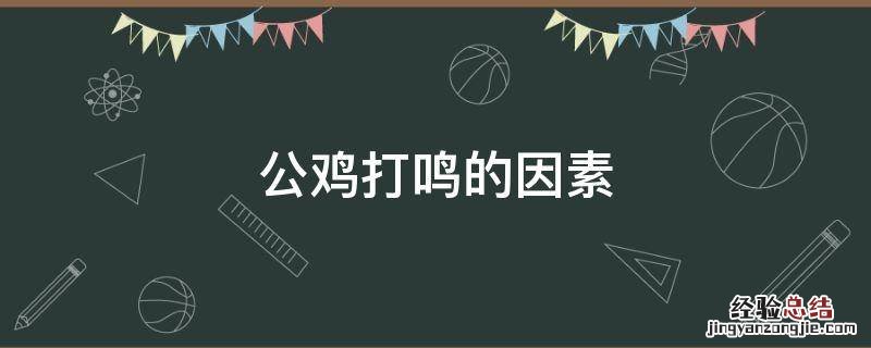影响公鸡打鸣的因素 公鸡打鸣的因素