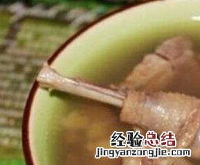 老鸽子的营养价值与功效 老鸽子的营养价值与功效图片