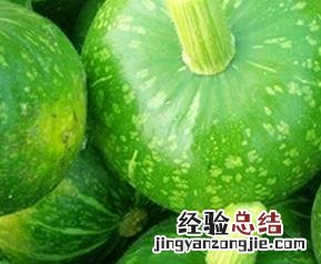 青南瓜的功效与作用 青南瓜的功效与作用及副作用
