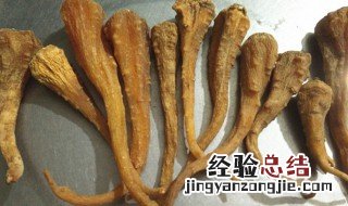 中药雪参的功效与作用及食用方法 中药雪参的功效与作用及食用方法图片