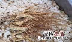 野山参的功效和吃法 野山参的功效和吃法是什么