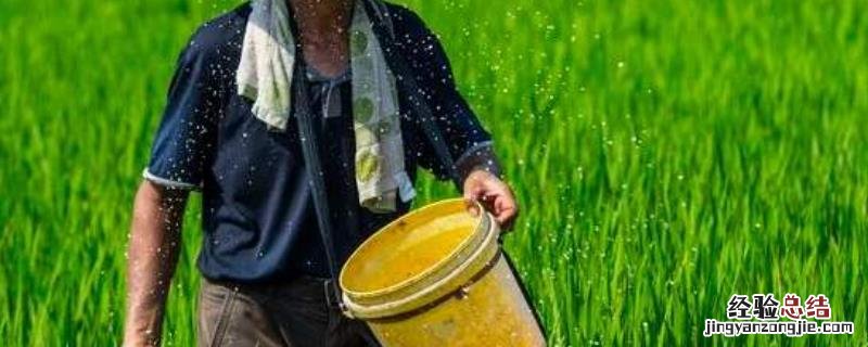 撒化肥三天才下雨有效吗，每年什么时候撒化肥合适，撒化肥需要几个步骤