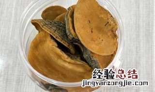 桑黄的功效与作用吃法 桑黄服用方法