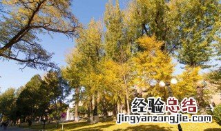中国农业大学烟台校区是几本 下面为大家解答