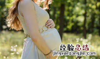 dha是什么东西 dha是什么食物