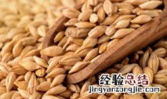 麦麸的功效与作用吃法 麦麸的做法