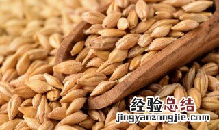 麦麸的功效与作用吃法 麦麸的做法