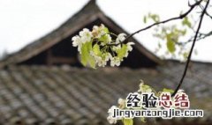 清明节手抄报内容 清明节手抄报文字内容