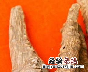 金针菜根的医药功效 金针菜根的药用价值