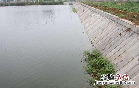 鱼塘设计要求及设计图 鱼塘设计要求及设计图集