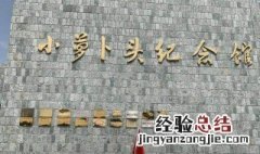 小萝卜头的故事 小萝卜头牺牲的时候多少岁