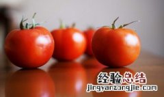 西红柿牛腩怎么做的好吃 西红柿牛腩怎么做的