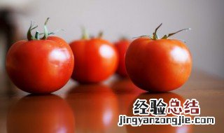 西红柿牛腩怎么做的好吃 西红柿牛腩怎么做的