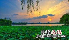 描写夏天的词语 描写夏天的词语有什么