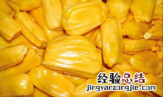 菠萝蜜什么不能吃? 菠萝蜜什么人不能吃