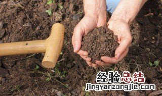 腐殖土可以直接种花吗 腐殖土可以直接种花吗?