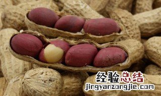 花生煮多久熟? 花生煮多久会熟