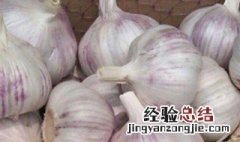紫皮大蒜怎么腌制好吃 紫皮蒜怎么腌制好吃