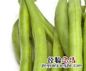 四季豆的营养价值与功效 四季豆的营养价值与功效禁忌
