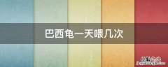 6厘米巴西龟一天喂几次 巴西龟一天喂几次